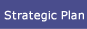 Strategic Plan